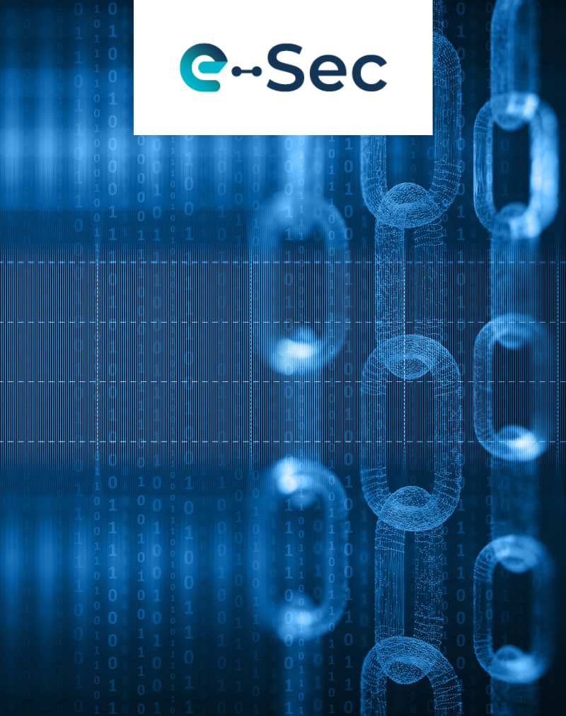 Die verschiedenen in der Finanzindustrie verwendeten Blockchains und deren Unterschiede