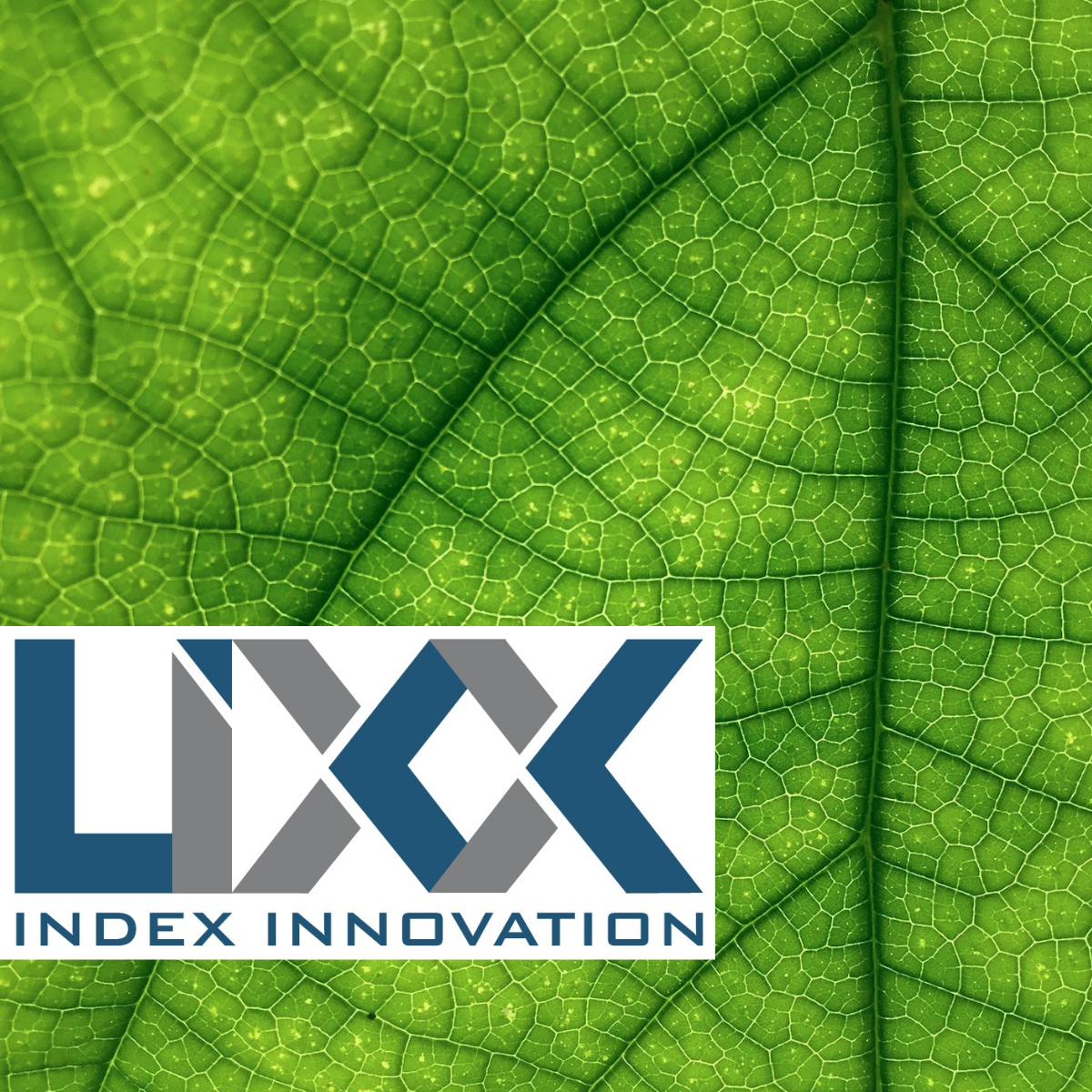 BeneFaktorIndex® NO ANIMAL TESTING: Nachhaltig und ethisch für mehr Tierwohl investieren und automatisch an eine gemeinnützige Organisation spenden